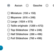 Onglet media de WordPress, plusieurs tailles d'images